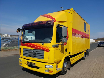 Camion chevaux MAN TGL 10.180