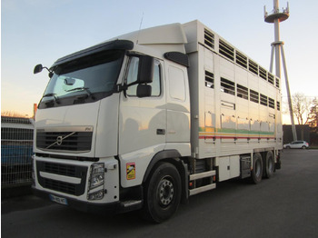 Camion bétaillère VOLVO FH 460