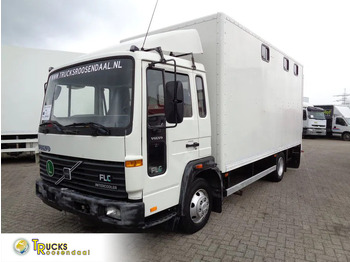 Camion chevaux VOLVO FLC