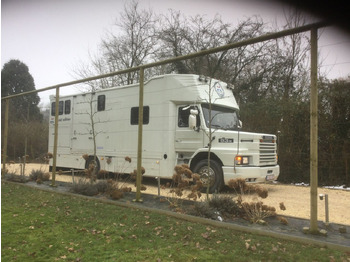 Camion chevaux SCANIA 93